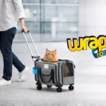 Transportadora mascota avión con ruedas tipo rolling suitcase en aeropuerto con gato dentro
