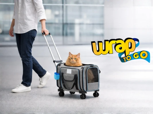 Transportadora mascota avión con ruedas tipo rolling suitcase en aeropuerto con gato dentro